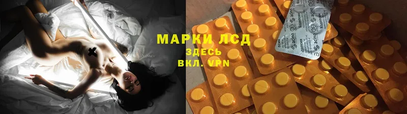 ЛСД экстази ecstasy  Каргат 